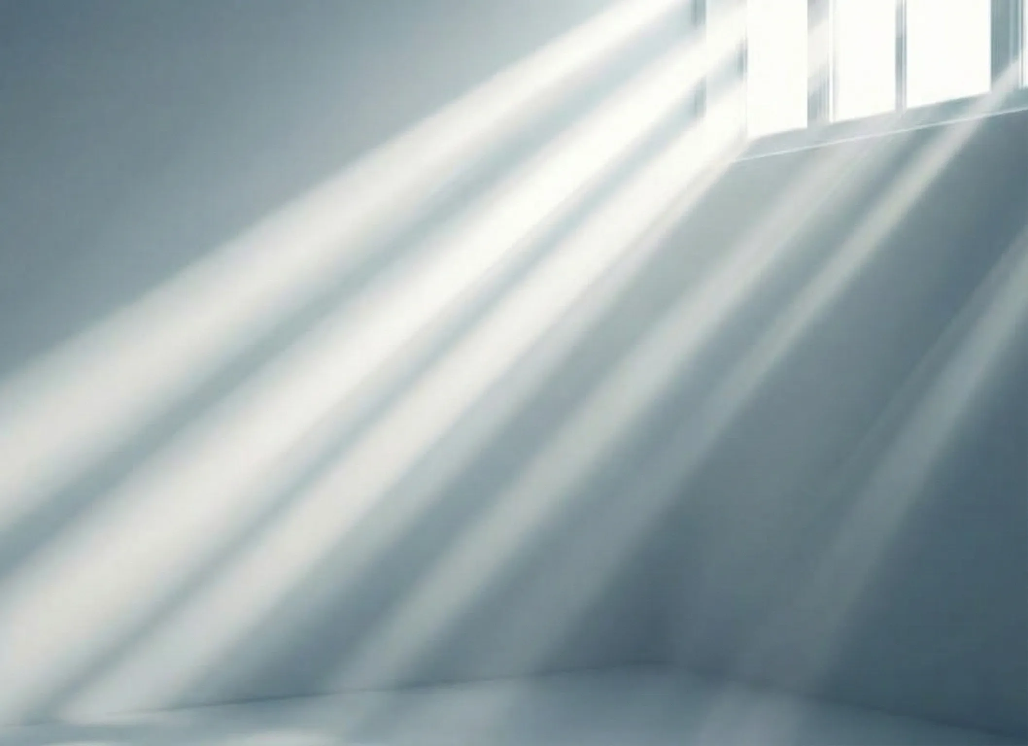 わたしたちについて